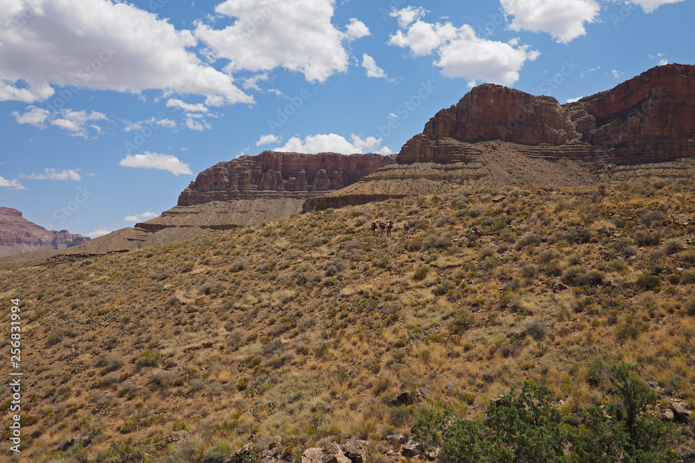 Distant hikers on the Tonto Trail in Grand Canyon National Park, Arizona.