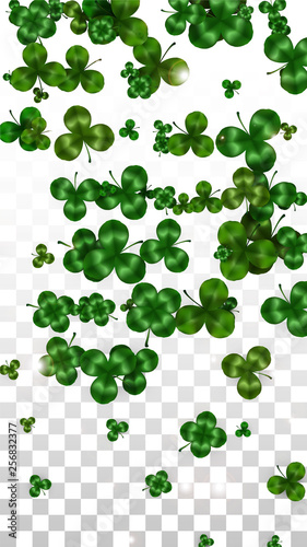 Vector Clover Leaf  Isolated on Transparent Background with Space for Text. St. Patrick s Day Illustration. Ireland s Lucky Shamrock Poster. Invintation for Concert in Pub. Top View. Success Symbols.