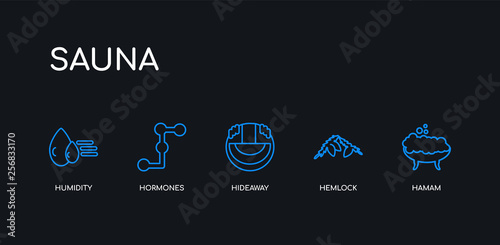 5 outline stroke blue hamam, hemlock, hideaway, hormones, humidity icons from sauna collection on black background. line editable linear thin icons.