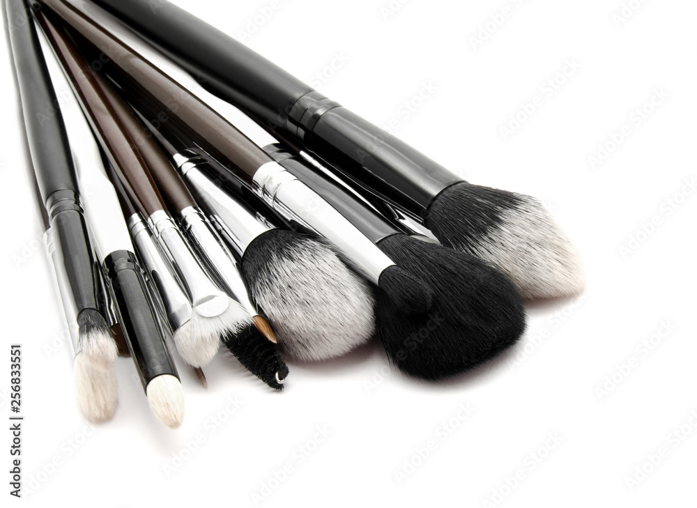 Various set of professional makeup brushes isolated