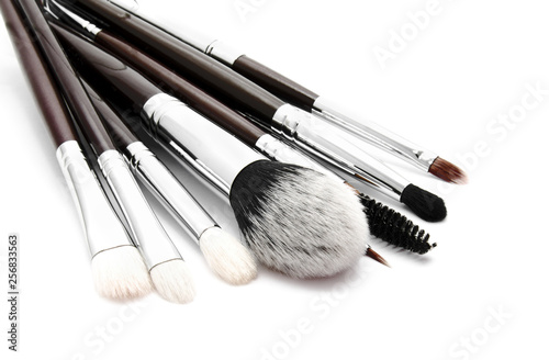 Various set of professional makeup brushes isolated