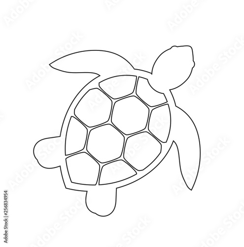 Sea turtle line icon