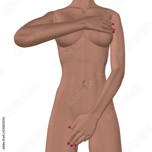 Nude girl covers her chest and groin. 3D. Polygonal girl isolated on white background. Front view. Vector illustration