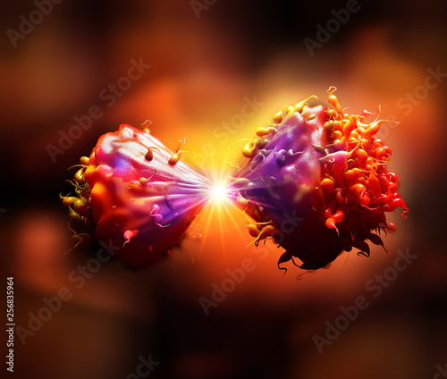 Cancer cell in the moment that divides 3d illustration - Ilustracion photo