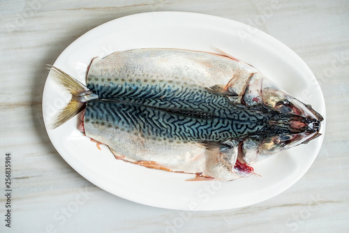 a slaughtered squid on a white plate