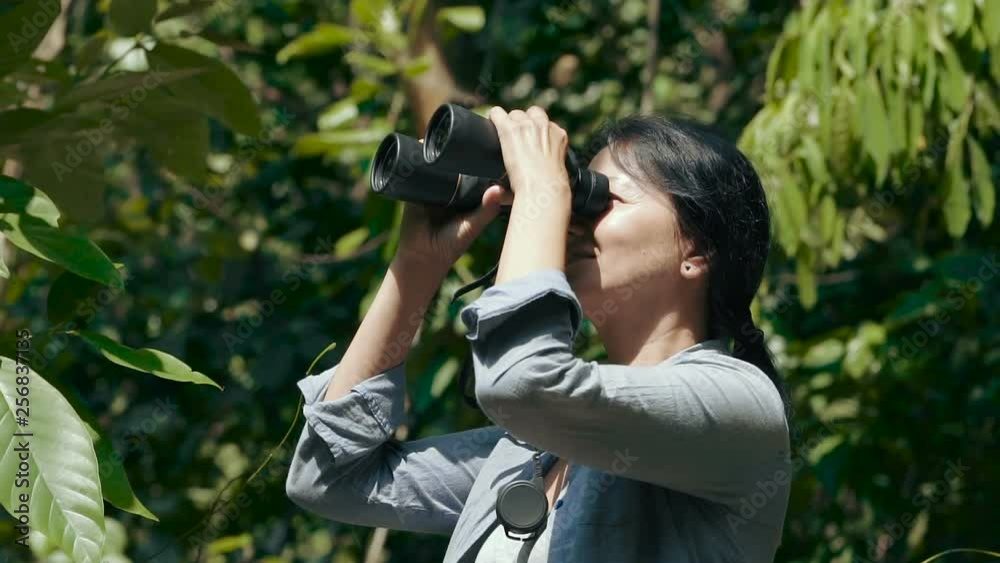 Woman looking through binoculars at the trees, enjoying the view at asian jungle. Trekking through the jungle. Woman looking through binoculars at the trees, enjoying the view at asian jungle. Trekking through the jungle.