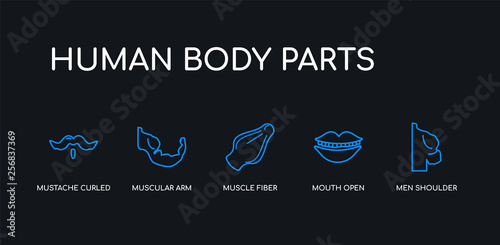 5 outline stroke blue men shoulder, mouth open, muscle fiber, muscular arm, mustache curled tip variant icons from human body parts collection on black background. line editable linear thin icons.