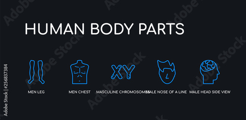5 outline stroke blue male head side view with brains, male nose of a line, masculine chromosomes, men chest, men leg icons from human body parts collection on black background. line editable linear