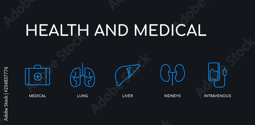 5 outline stroke blue intravenous, kidneys, liver, lung, medical icons from health and medical collection on black background. line editable linear thin icons.