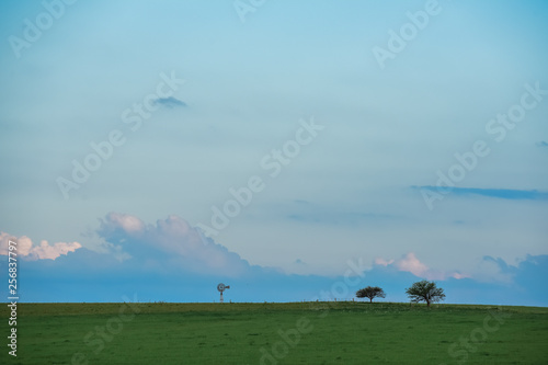 Rural landscape, Buenos Aires province , Argentina
