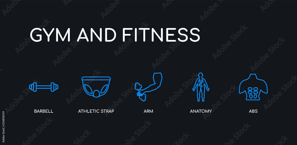 Φωτογραφία 5 outline stroke blue abs, anatomy, arm, athletic strap, barbell icons from gym and fitness collection on black background