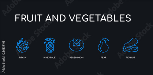 5 outline stroke blue peanut, pear, persimmon, pineapple, pitaya icons from fruit and vegetables collection on black background. line editable linear thin icons.