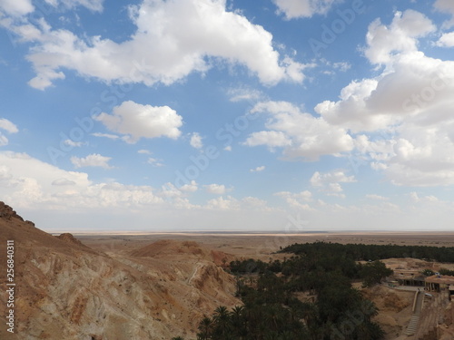Chebika mountain oasis on the border of the Sahara  clear blue sky  Tunisia  Africa