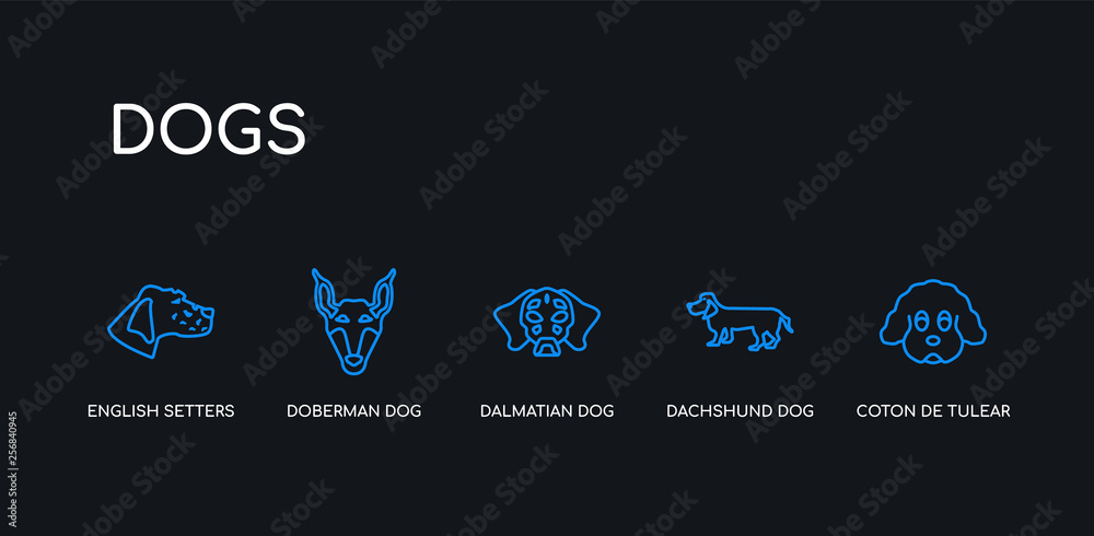 5 outline stroke blue coton de tulear dog, dachshund dog, dalmatian dog, doberman english setters icons from dogs collection on black background. line editable linear thin icons. 5 outline stroke blue coton de tulear dog, dachshund dog, dalmatian dog, doberman english setters icons from dogs collection on black background. line editable linear thin icons.