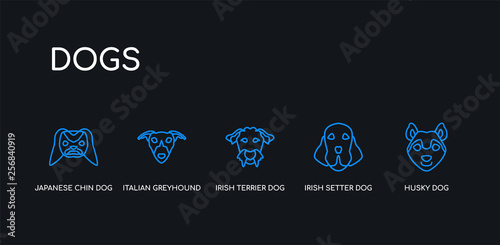 5 outline stroke blue husky dog, irish setter dog, irish terrier dog, italian greyhound japanese chin icons from dogs collection on black background. line editable linear thin icons.
