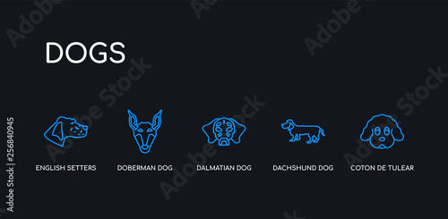 5 outline stroke blue coton de tulear dog, dachshund dog, dalmatian dog, doberman english setters icons from dogs collection on black background. line editable linear thin icons.