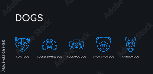 5 outline stroke blue chinook dog, chow chow dog, cockapoo dog, cocker spaniel corgi icons from dogs collection on black background. line editable linear thin icons.