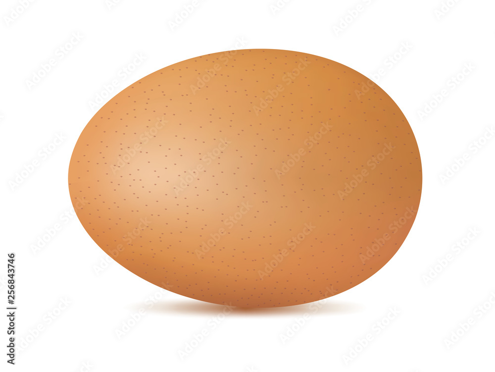 Vector single realistic animal egg. Chicken egg isolated with soft shadows on white background Vector single realistic animal egg. Chicken egg isolated with soft shadows on white background