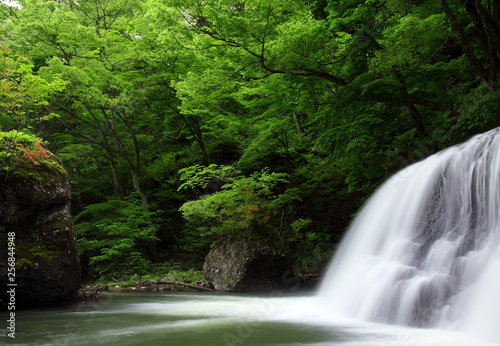 新緑の滝