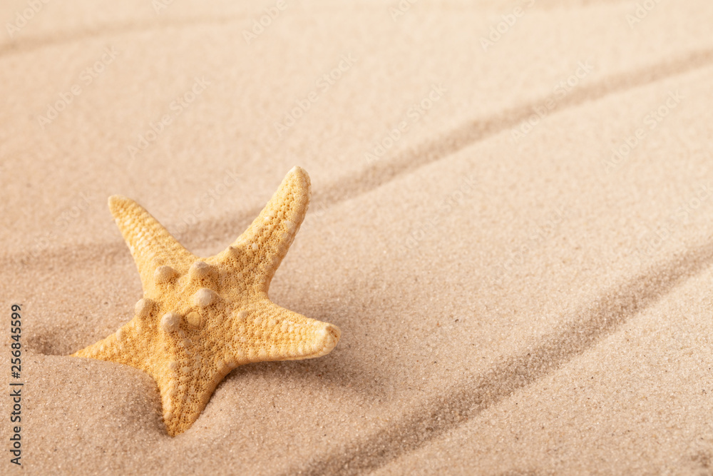 one single sea star or starfish on tropical beach sand. Concept for summer holiday vacation. Sandy background with empty space. one single sea star or starfish on tropical beach sand. Concept for summer holiday vacation. Sandy background with empty space.