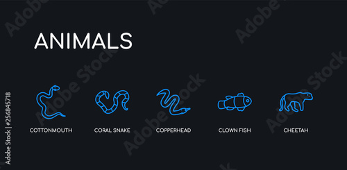 5 outline stroke blue cheetah, clown fish, copperhead, coral snake, cottonmouth icons from animals collection on black background. line editable linear thin icons.