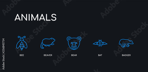 5 outline stroke blue badger, bat, bear, beaver, bee icons from animals collection on black background. line editable linear thin icons.