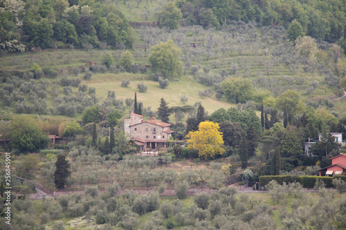 Typical Tuscany landscape with hills, green trees and mansion, Italy.