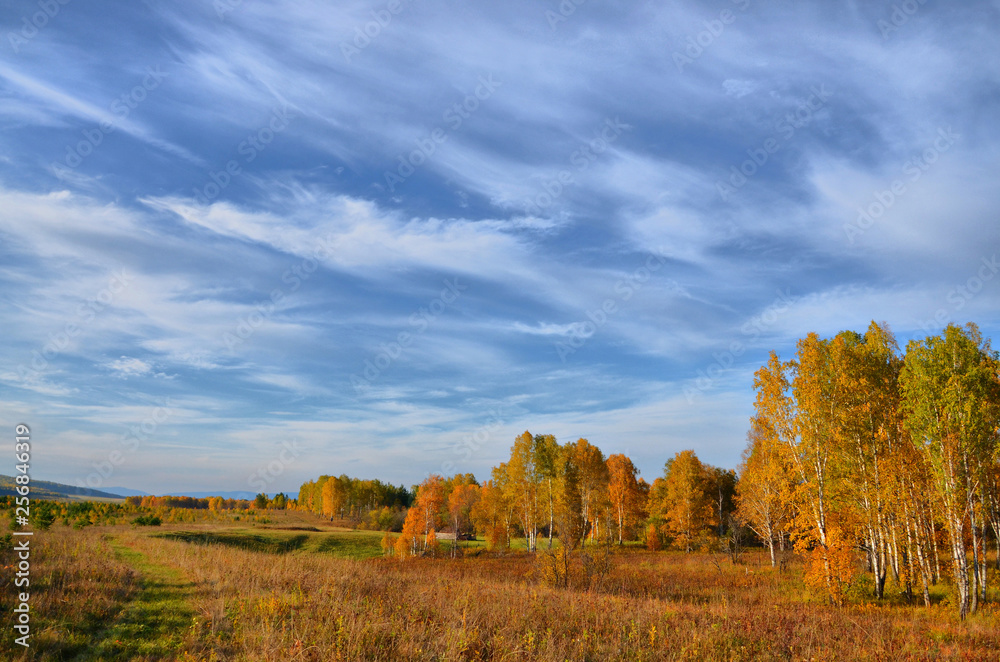 Fototapeta premium Warm Golden autumn in the mountains of the southern Urals. A great time for photographers and artists.