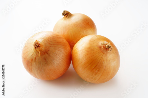Wallpaper Mural 玉ねぎ　白背景 Torontodigital.ca