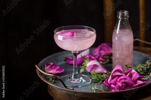 Summer refreshment drinks. Light pink rose cocktail, with rose wine on dark background. With rose flowers. Copy space #256850502