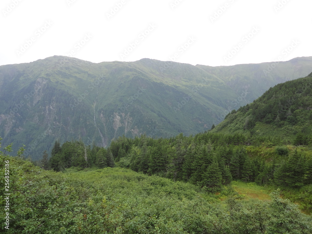 Mountains in the middle of the Alaskan wilderness full of greenery and growth under a heavily clouded sky