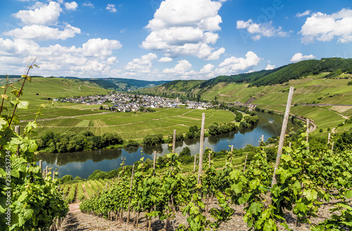 Moselschleife bei Trittenheim Rheinland-Pfalz Deutschland photo