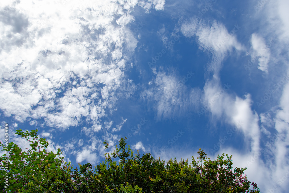 Blue Sky Blue Sky