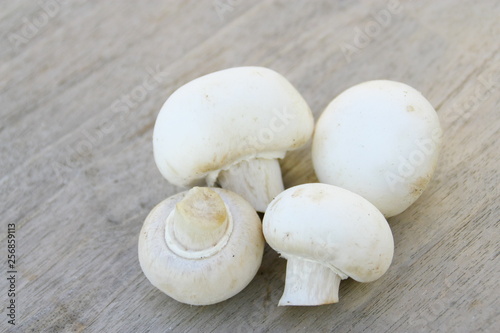 champignons blancs de paris ,isolé