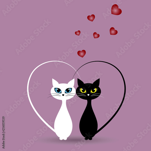two cats in love