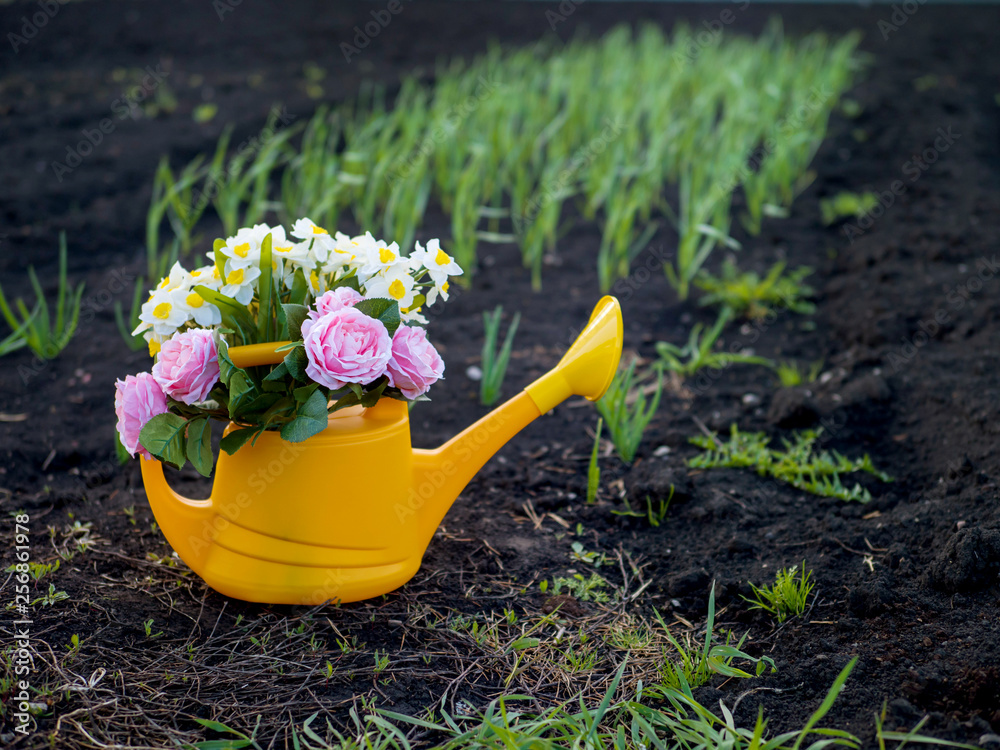 Yellow watering can with flowers on the garden - obrazy, fototapety, plakaty 