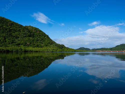 西表島のマングローブ林と川