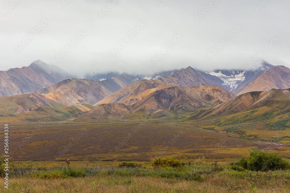 Scenic Denali National Park Alaska Autumn Landscape - obrazy, fototapety, plakaty 