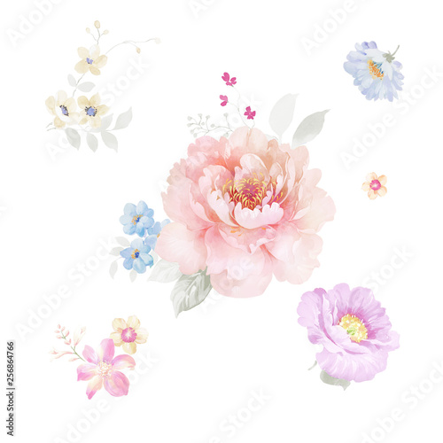 Fototapeta Naklejka Na Ścianę i Meble -  Beautiful hand drawn watercolor flower for your design and greeting cards for the holiday