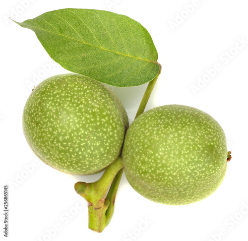 Green walnuts isolated on white, top view
