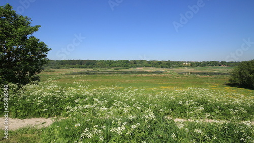 Scandinavian Countryside, Aarhus, Denmark