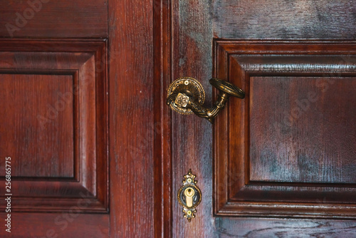 Vintage mahogany door. The texture of the lacquered wood. Metal handle on the old interior door.