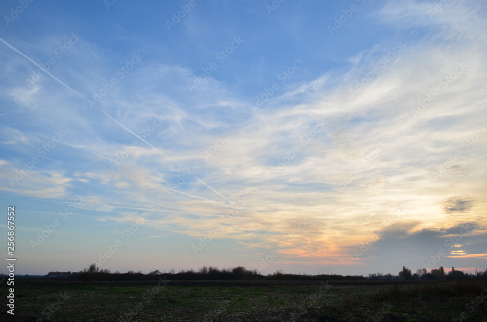 Fototapeta premium Wildlife, flowers, animals, birds, insects, sky, sunset, swans, grass, river, water