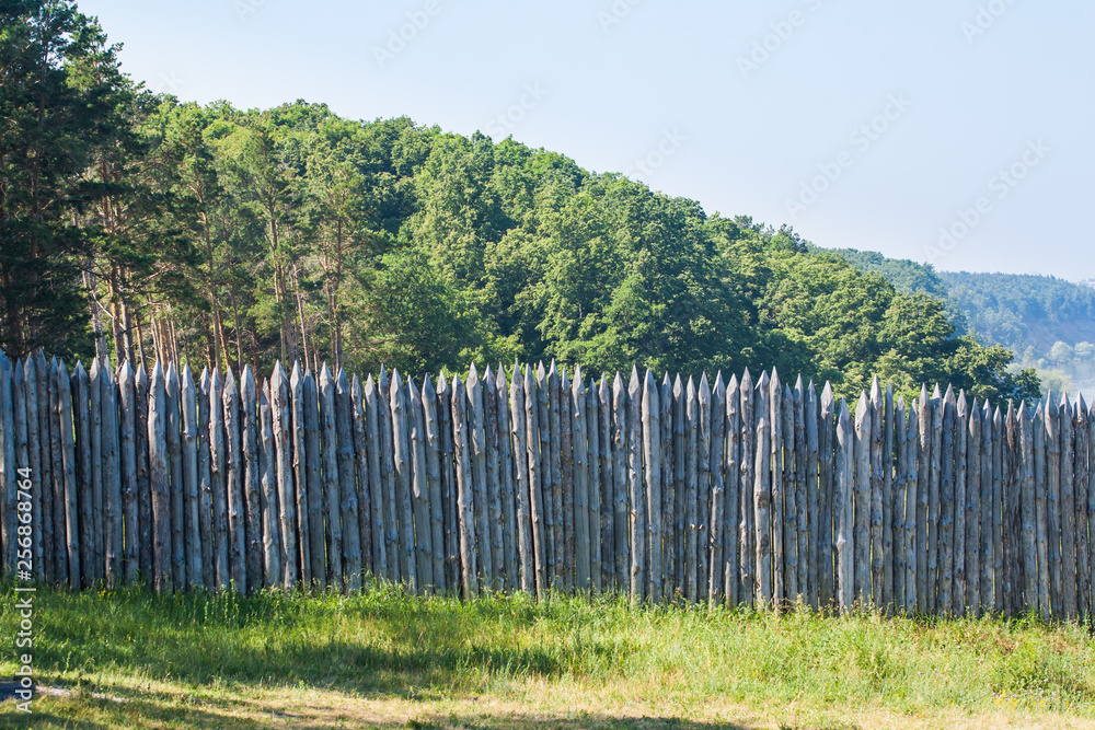 Fototapeta premium High wooden fence.
