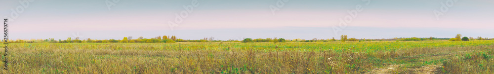 Fototapeta premium Panorama of a large autumn meadow on cloudy day