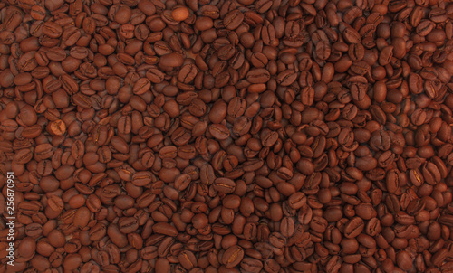 Roasted coffee beans background. Aroma caffeine drink ingredient for coffee beverage. Close-up calm tone brown texture.