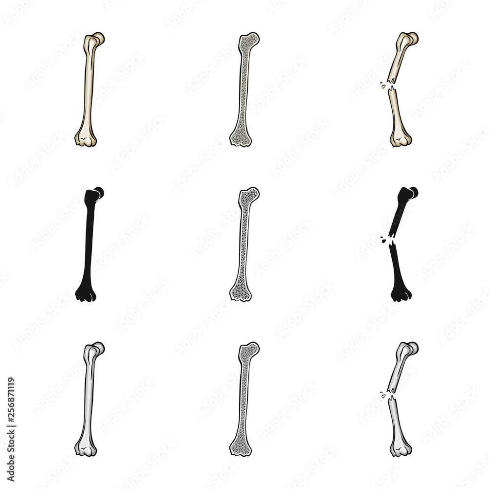 Naklejka premium Vector illustration of medicine and clinic symbol. Set of medicine and medical vector icon for stock.