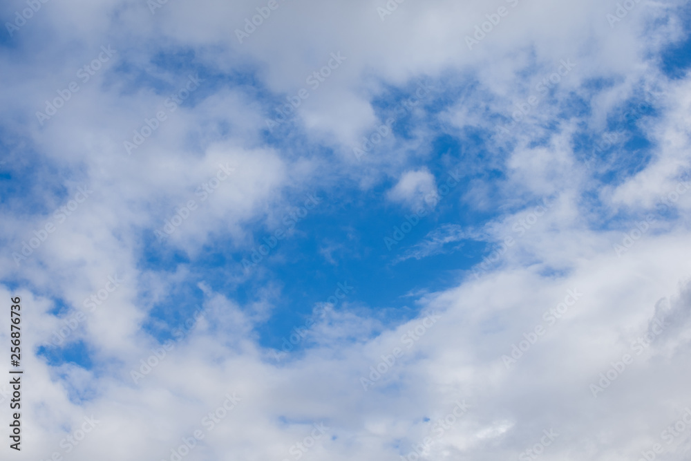 Fototapeta premium Some clouds in the sky. Background texture