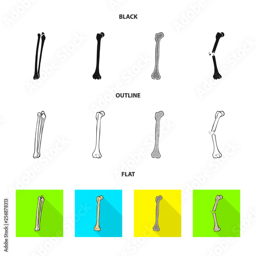 Vector design of medicine and clinic icon. Set of medicine and medical stock symbol for web.