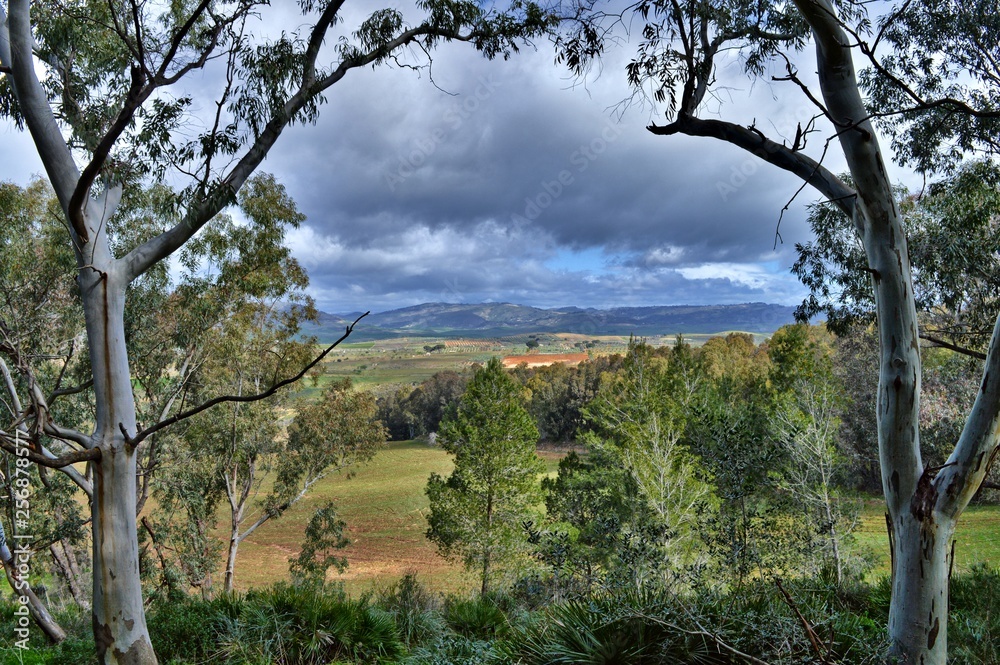 Beautiful Sicilian Landscape, Mazzarino, Caltanissetta, Italy, Europe Beautiful Sicilian Landscape, Mazzarino, Caltanissetta, Italy, Europe